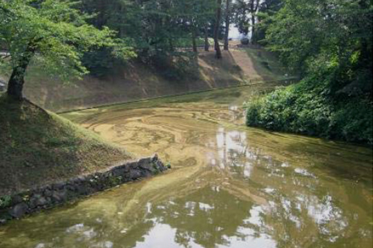水質改善前