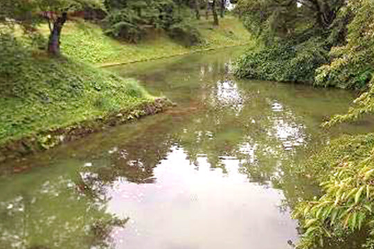 水質改善後